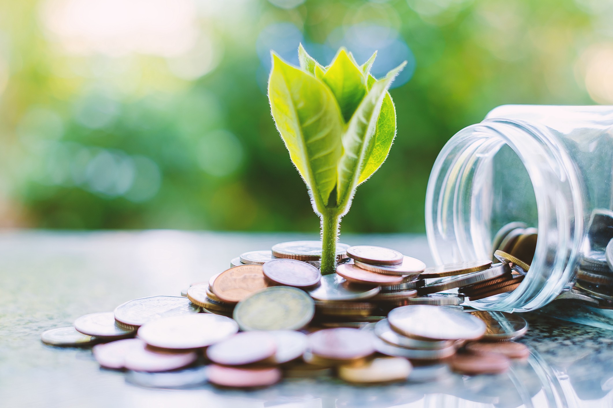 ROI vs VOI Blog