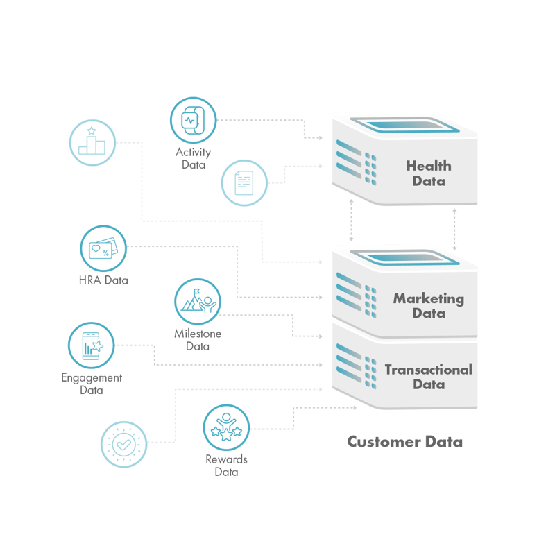 Sprout Open Health API Data Feed Graphic