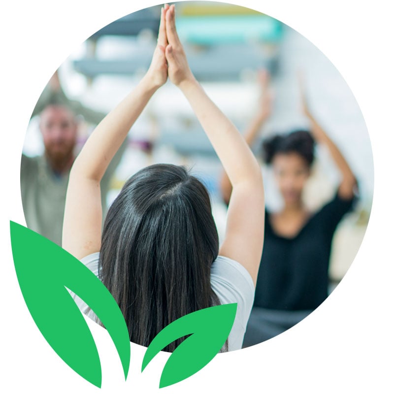 Sprout At Work Industryleading workplace wellness platform